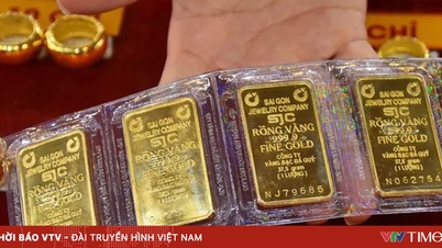 Altın fiyatları tael başına 170 milyon VND'ye yaklaşıyor.