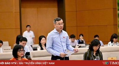 Economic and Financial Committee: The tax exemption threshold for household businesses should be from 2 billion VND.