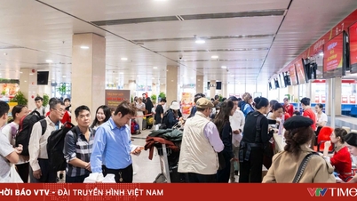 Domestic airlines expand their international flight networks to prepare for the peak summer season.