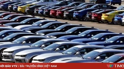 Vietnam imported over 56,000 cars in the first quarter of 2026.
