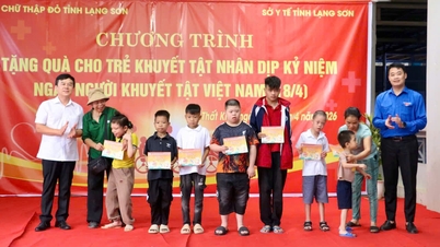 សកម្មភាពជាក់ស្តែងមួយចំនួនដែលនាំទៅដល់ការរំលឹកខួបទិវាជនពិការវៀតណាម (ថ្ងៃទី១៨ ខែមេសា)។