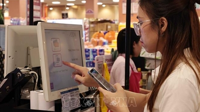 透明性の瀬戸際におけるキャッシュフローのパラドックス - パート3：キャッシュフローの増加は銀行の流動性に圧力をかけるのか？