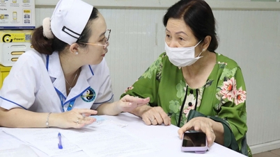 Ho Chi Minh-staden siktar på tvåsiffrig tillväxt - Sista delen: Att bygga ett silverbaserat ekonomiskt ekosystem