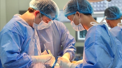 Mengembalikan bakat intelektual ke ibu kota kuno - Bagian 1: Menulis "babak emas" lainnya untuk bidang biomedis.