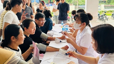 Hai Phong refuerza la gestión del negocio y la publicidad de hierbas medicinales.