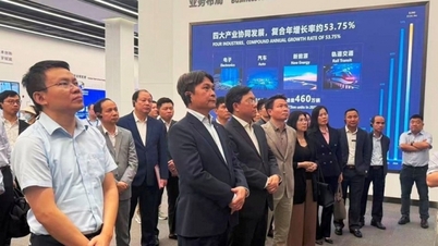 Phu Thos provinsielle investeringsfremmedelegasjon holdt et arbeidsmøte med BYD Group for å diskutere samarbeid innen elbiler og ny energi.