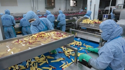 Lam Dong: Great potential but lacks a 'boost' for investment in deep processing.