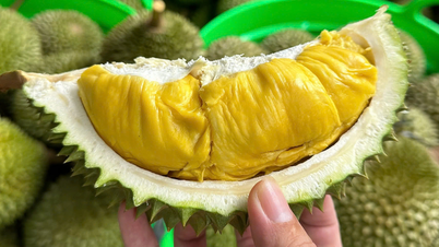 Prix ​​du durian aujourd'hui, 20 avril 2026 : stable, RI6 à partir de 52 000 VND.