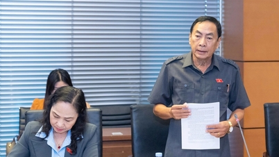 公選弁護士を試験的に導入するための法的メカニズムを完成させる。