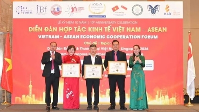Affirming the value of Vietnamese brands in the ASEAN market.