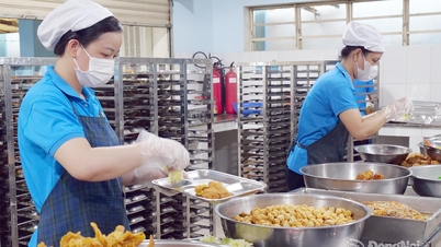 Food safety concerns in schools
