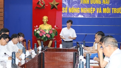 It was agreed to continue inter-agency coordination in environmental protection work.