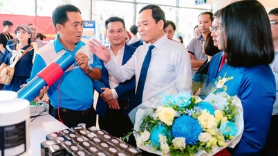 How does the Ho Chi Minh City Venture Capital Fund operate with its risk acceptance mechanism?