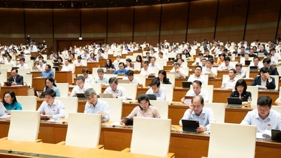 提案：従業員には、11月24日のベトナム文化の日に、全額給与の休日を与えるべきである。
