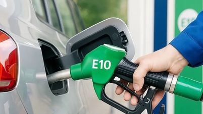 Gasolina E10: Un vínculo estratégico para la seguridad energética y un desafío para la confianza del mercado.