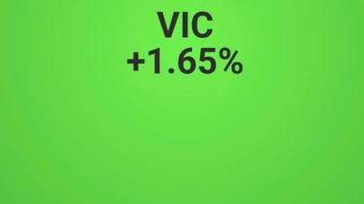 VN-Index berbalik arah dan naik hampir 20 poin berkat kinerja grup Vingroup.