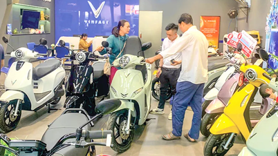 इलेक्ट्रिक मोटरसाइकिलें: विविध शैलियाँ, उपयोगकर्ताओं के लिए चुनने में आसान।