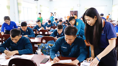 Renforcer les services d'orientation professionnelle et de placement pour les jeunes travailleurs.