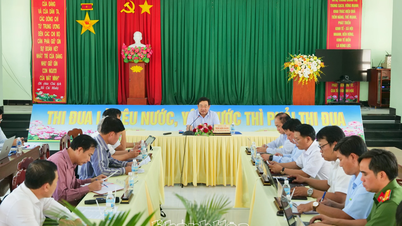 Accélération des indemnisations et des réinstallations pour le projet de centrale nucléaire de Ninh Thuan 1.