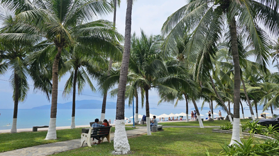 Summer travel paradises