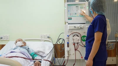 Az orvosok 3 „arany” kulcsszót tárnak fel a stroke és a szívroham megelőzésére a kiváltó oknál fogva.