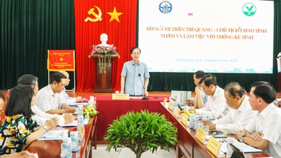 El presidente del Comité Popular Provincial, Tran Tri Quang, visita y colabora con el Departamento de Estadística Provincial.