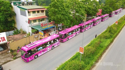 São Viet lanserar högkvalitativ passagerartransportlinje Hanoi - Ha Giang.