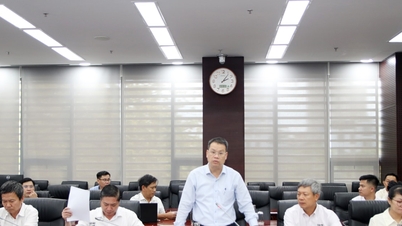 O presidente do Comitê Popular da Cidade, Nguyen Manh Hung, trabalha com líderes do Grupo Truong Hai.