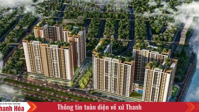 থান হোয়া প্রদেশে বর্তমানে চারটি সামাজিক আবাসন প্রকল্প বিক্রয়ের জন্য রয়েছে।