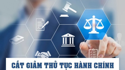 Công khai các Bộ chậm tiến độ, chưa đạt chỉ tiêu cắt giảm thủ tục hành chính