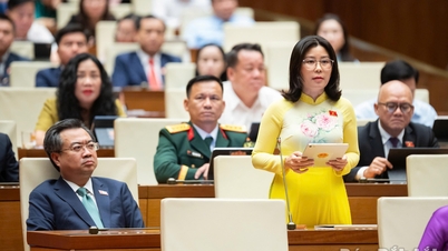 Liên kết Khu kinh tế Nam Phú Yên – Vân Phong, tạo hạt nhân tăng trưởng mới cho khu vực