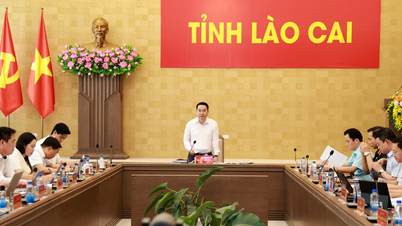 Chairman of the Provincial People's Committee Nguyen Tuan Anh criticized several investors for having low disbursement rates.