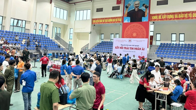 Plus de 1 200 volontaires ont participé au programme de don de sang bénévole à Yen Binh.