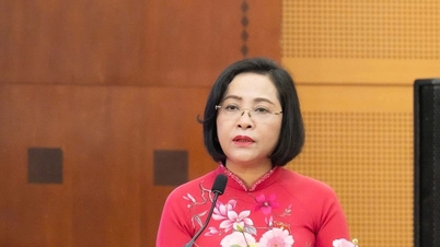 De vicevoorzitter van de Nationale Vergadering, Nguyen Thi Thanh, heeft twee resoluties van de vaste commissie van de Nationale Vergadering ondertekend en bekrachtigd.