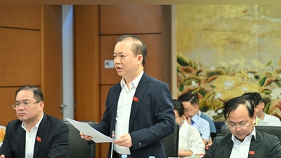 Bui Hoai Son nemzetgyűlési képviselő (Hanoi): A művészetekre szánt állami beruházások arányának intézményesítése.