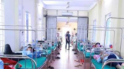 Suspected food poisoning from eating bread in Nghe An: Number of hospitalizations rising rapidly.