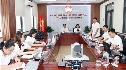 Improve the quality of organizing meetings with voters.
