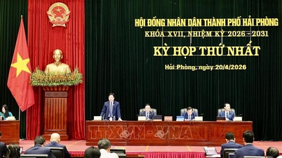 First Session of the Hai Phong City People's Council: 19 Important Resolutions Approved