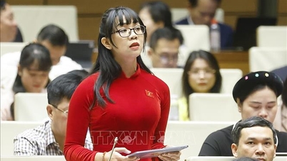 Resolution approving the full-time National Assembly deputies of the 16th term.