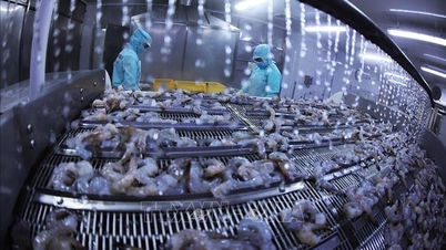 Highlights of Vietnam's economic news on April 20, 2026