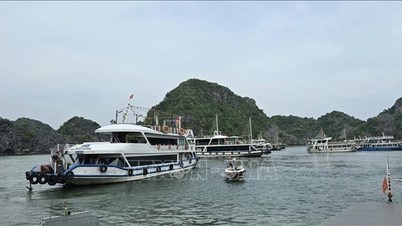 ハロン湾とランハ湾を結ぶクルーズ船の運航が開始されました。