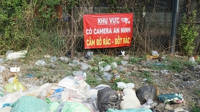 Des « yeux qui voient tout » surveillent et contribuent à éliminer les zones à forte concentration de déchets à Hô Chi Minh-Ville.