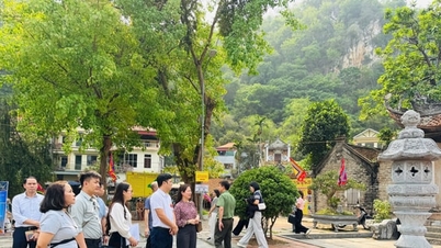 Klaar voor het Thầy Pagoda Festival 2026