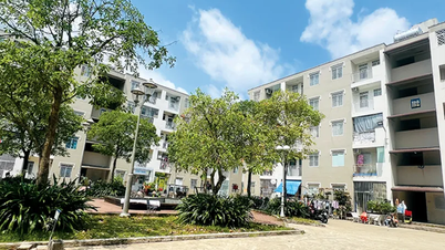 Announcement of social housing projects in Can Tho City, Phase 1