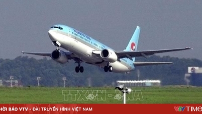 アジアの航空会社は、ヨーロッパ行きのフライト需要が急増していると報告している。