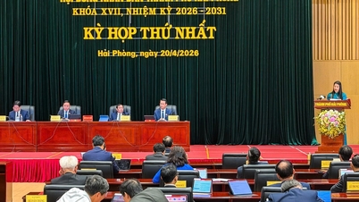 Хайфон корректирует и дополняет свой план государственных инвестиций на 2026 год.