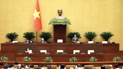 Today, the National Assembly discussed combating waste and outlined the planned monitoring program for 2027.