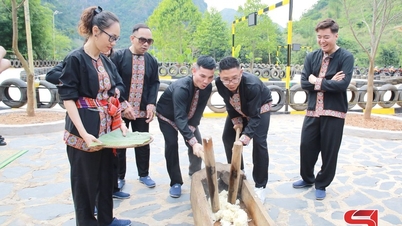Building a professional tourism service ecosystem.