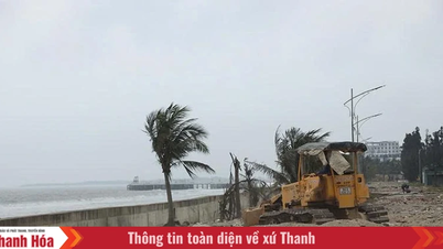 הקמת חומות ים וסוללות כ"מגן" לפני עונת הגשמים והסופות.