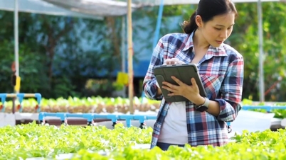 Developing Smart Agriculture - Final Part: When AI and Spatial Data Change the Way We Farm